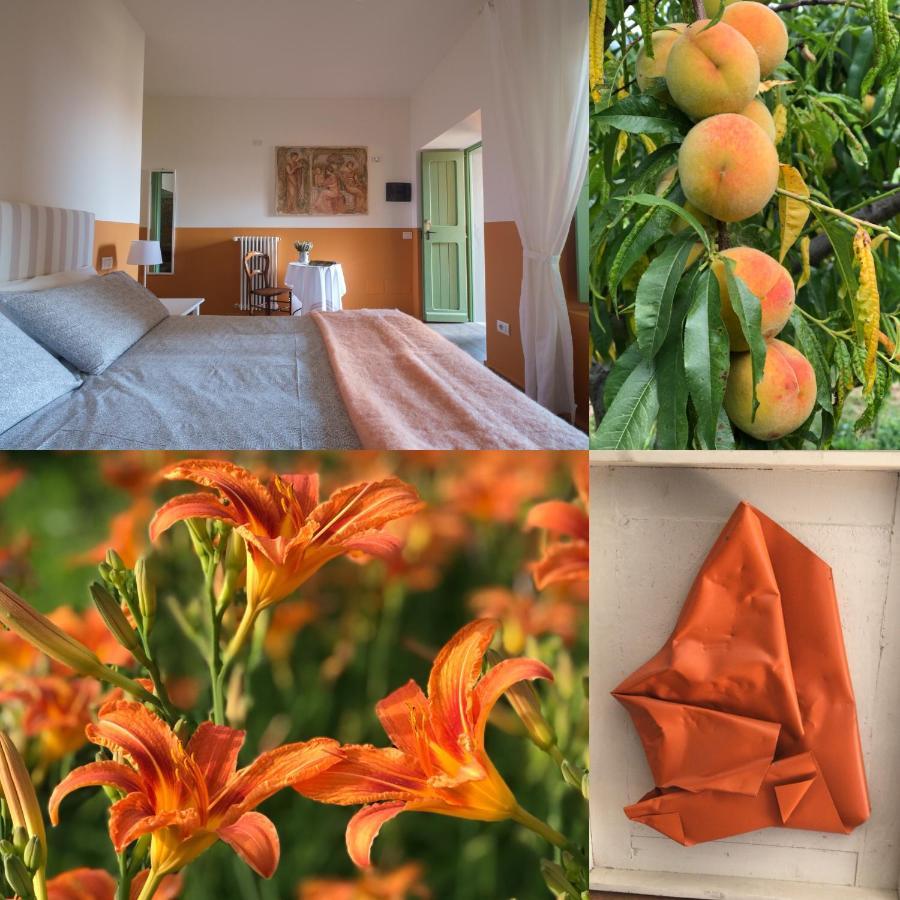 Agriturismo Il Belvedere Palazzago Экстерьер фото